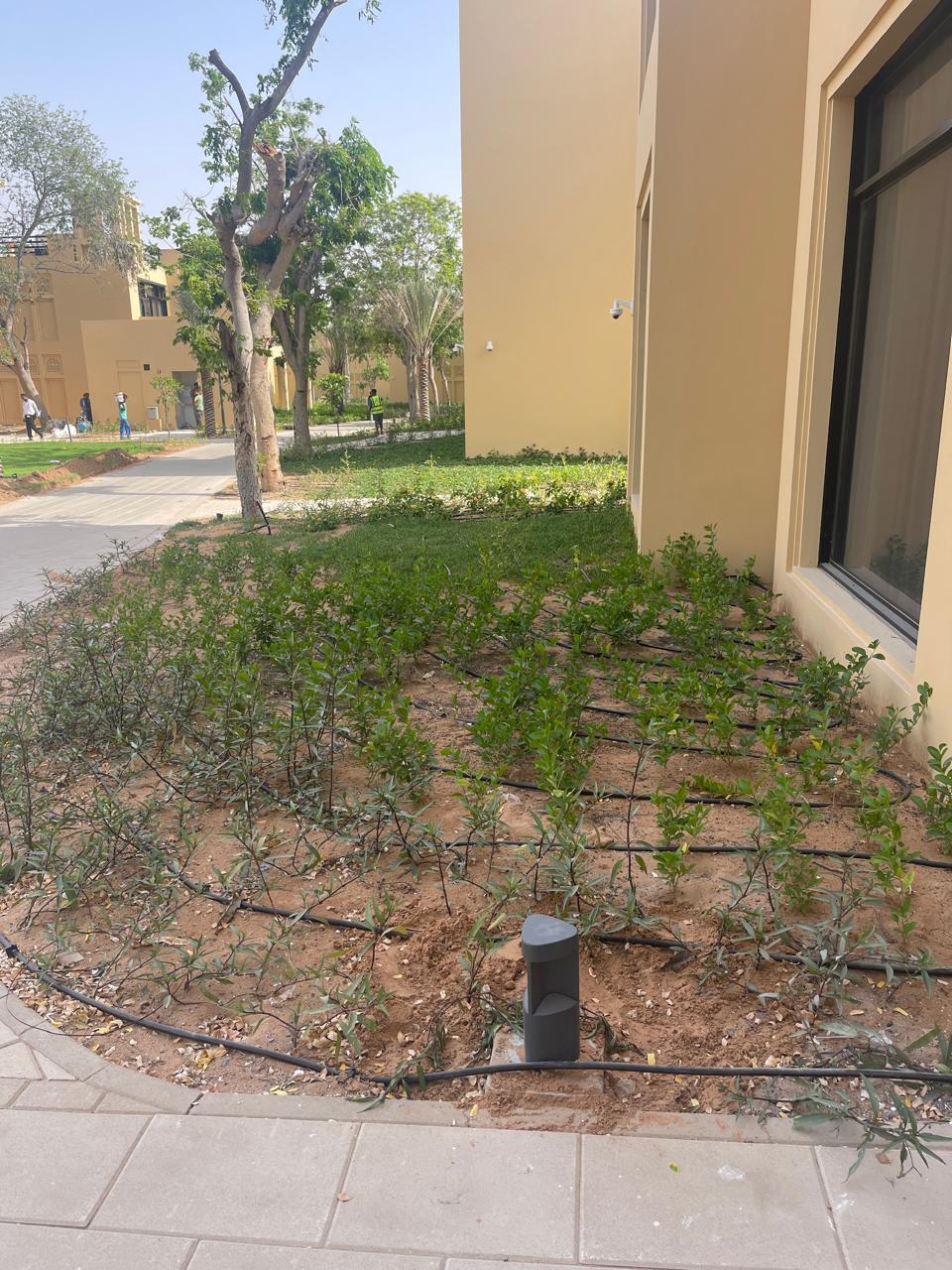 Landscaping with Al Bania 17